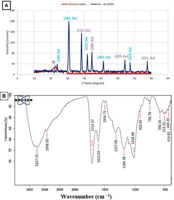 Green biosynthesis of bimetallic selenium–gold nanoparticles using Pluchea indica leaves and their biological applications